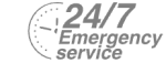 24/7 Emergency Service Pest Control in Yeading, UB4. Call Now! 020 8166 9746