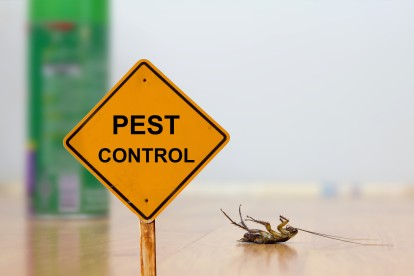 Pest Contol in Yeading, UB4. Call Now 020 8166 9746